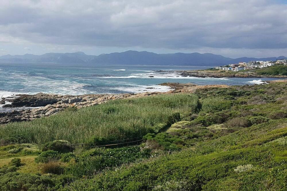 Photo of Others in Gansbaai
