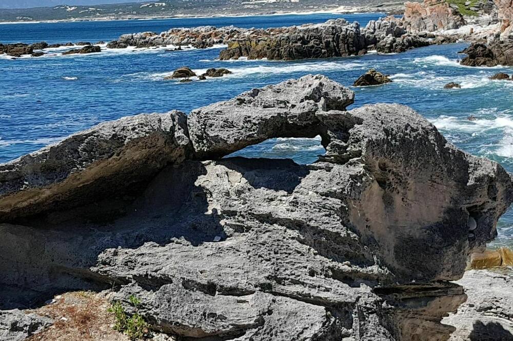 Photo of Others in Gansbaai