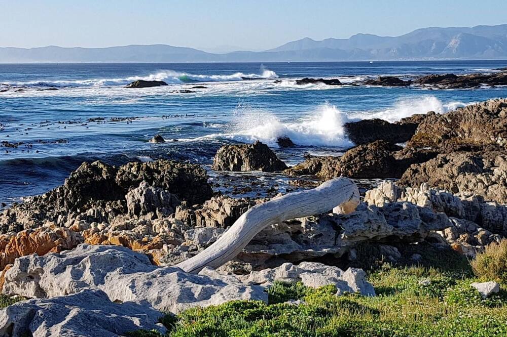 Photo of Others in Gansbaai