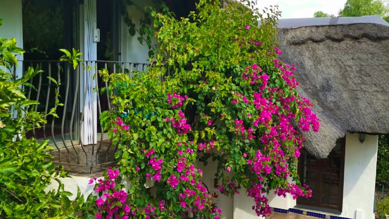 Photo of Outdoor in Bayswater