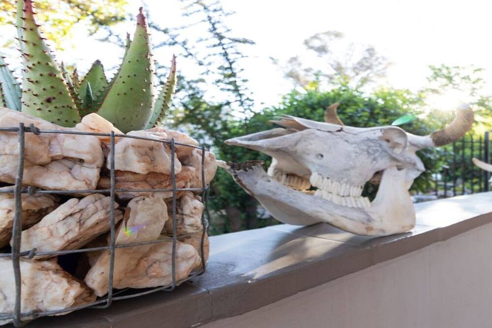 Photo of Outdoor in Oudtshoorn