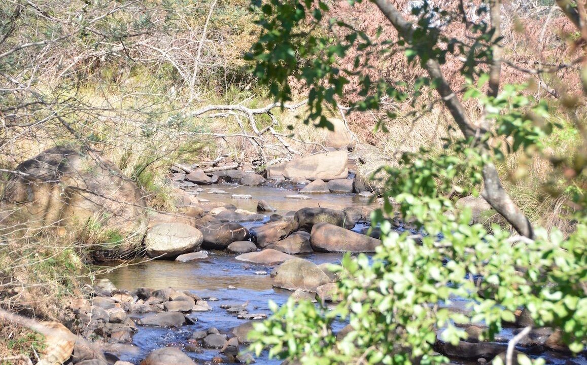 Photo of Outdoor in Waterval Boven