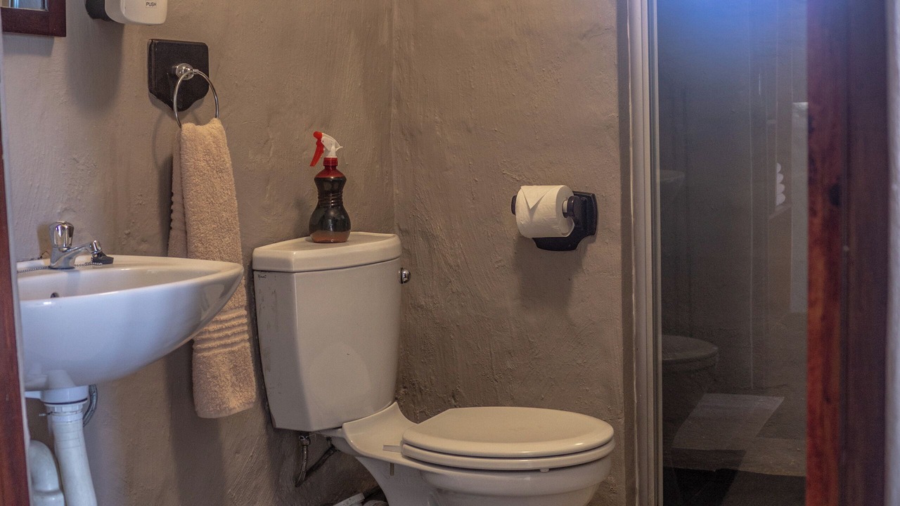 Photo of Bathroom in Sani Pass