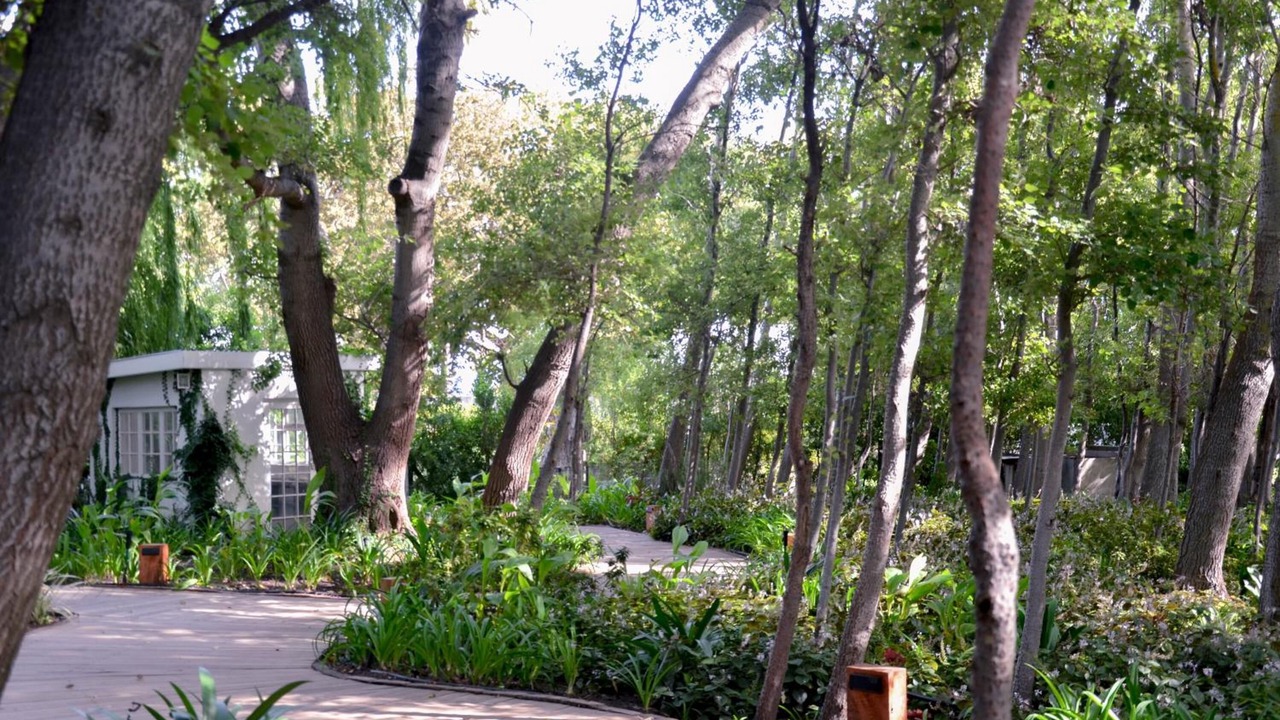 Photo of Outdoor in Cape Winelands