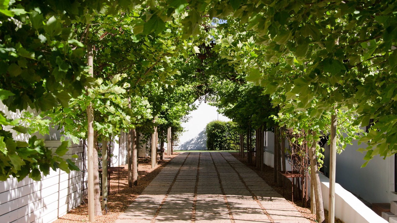 Photo of Outdoor in Cape Winelands