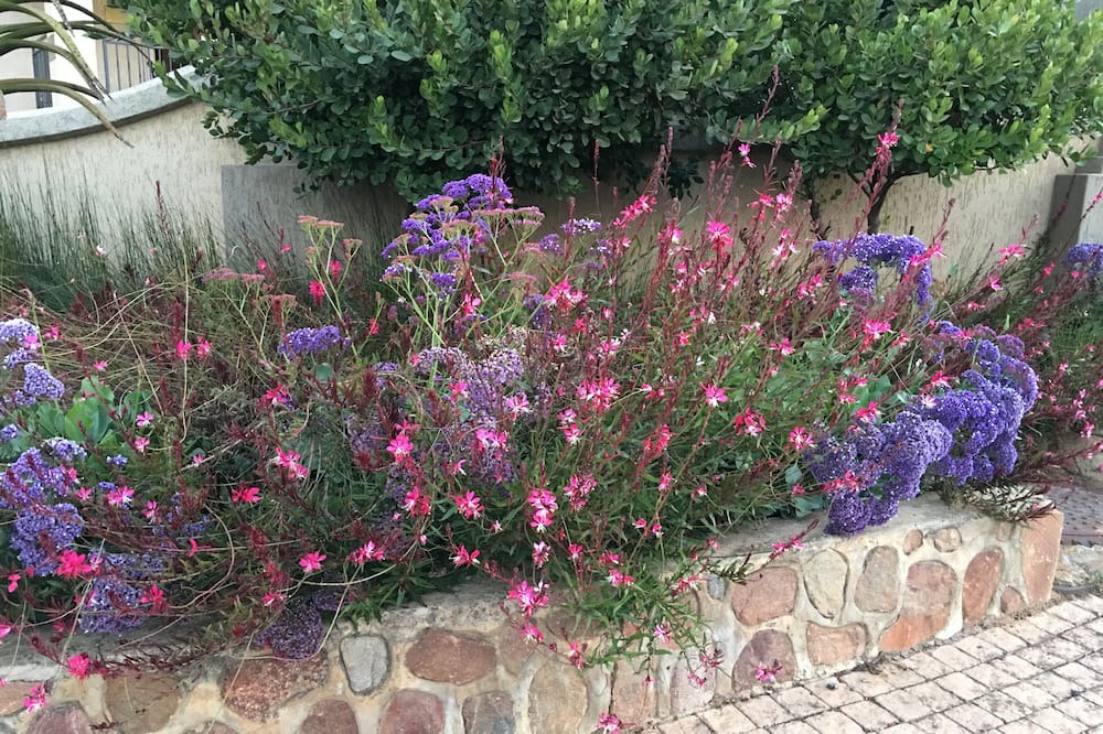 Photo of Outdoor in Centurion
