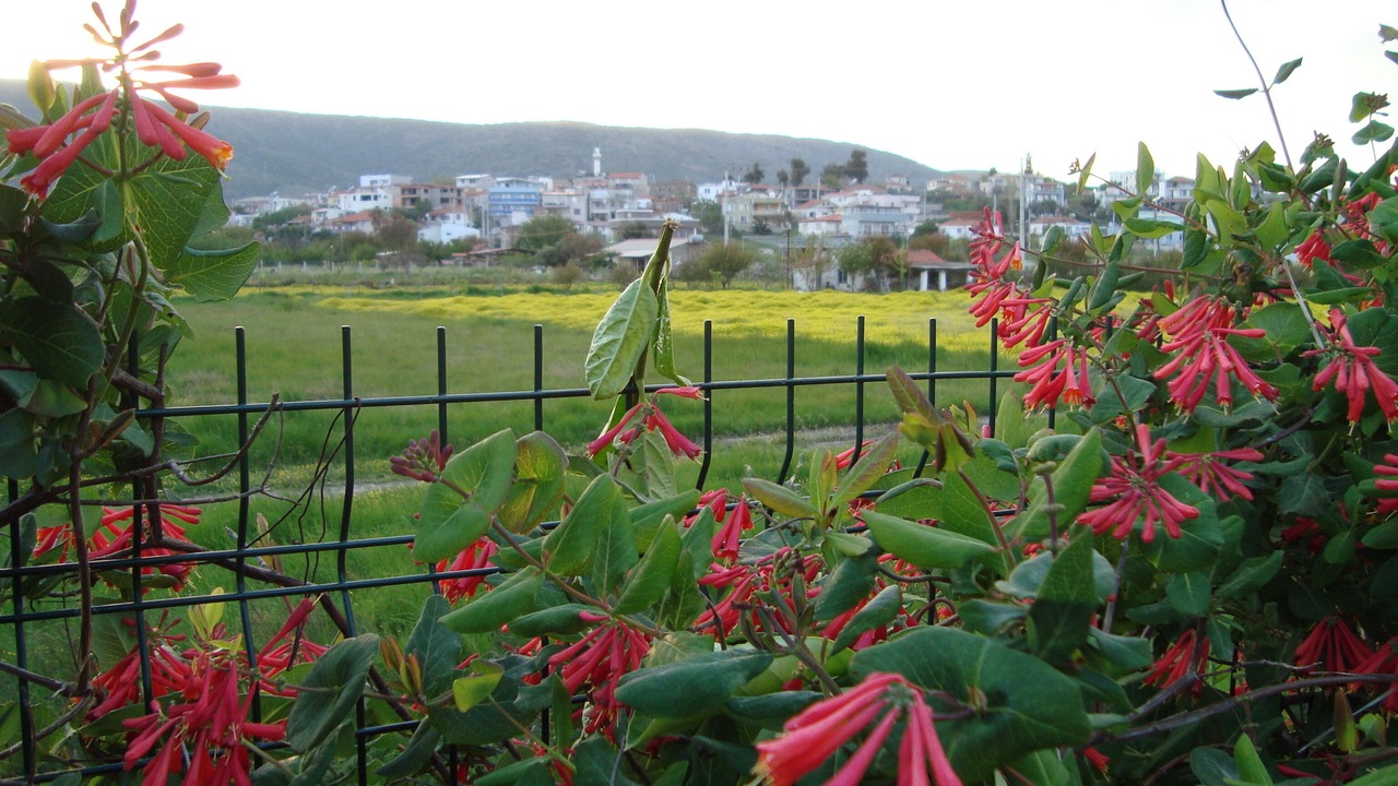 Photo of Outdoor in Gulbahce Mahallesi