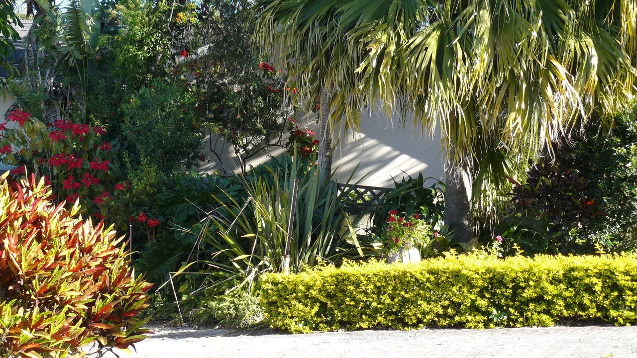 Photo of Outdoor in Berea