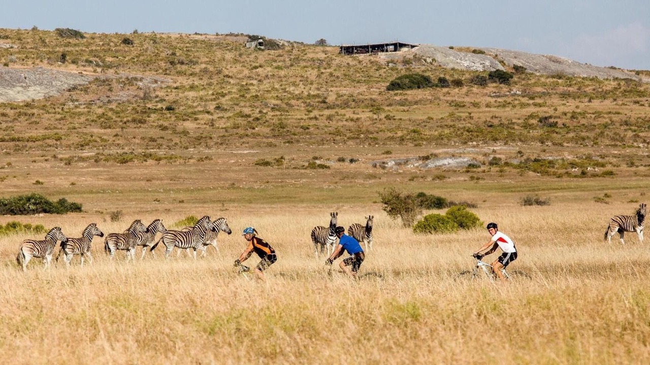 Photo of Others in Yzerfontein