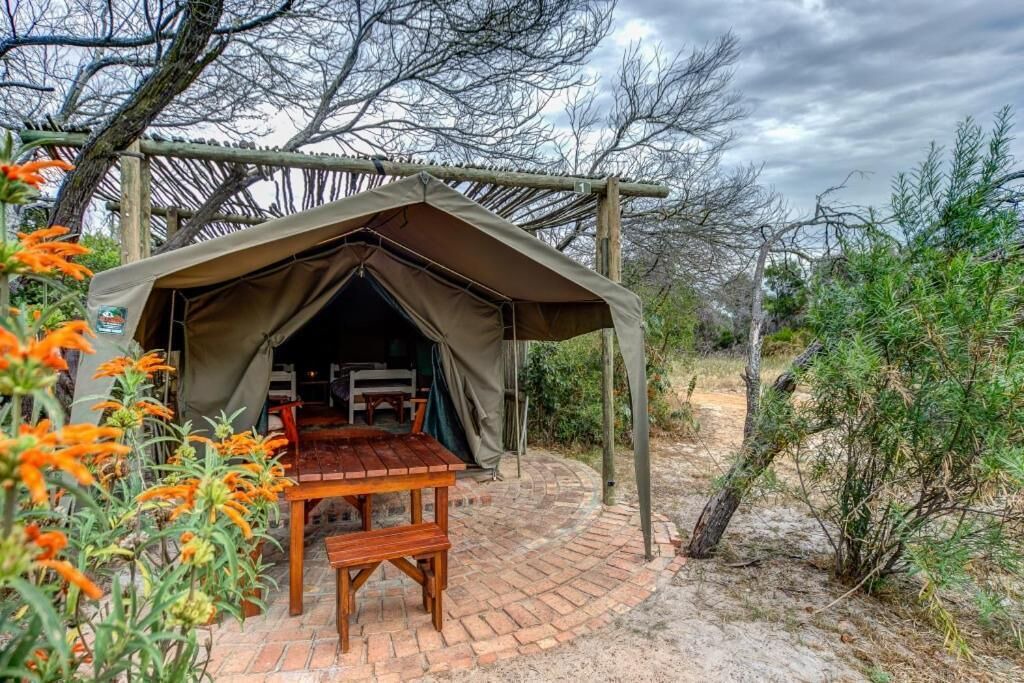 Photo of Outdoor in Yzerfontein