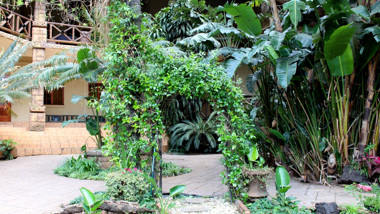 Photo of Outdoor in Pretoria