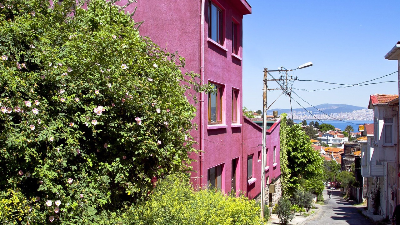 Photo of Others in Adalar