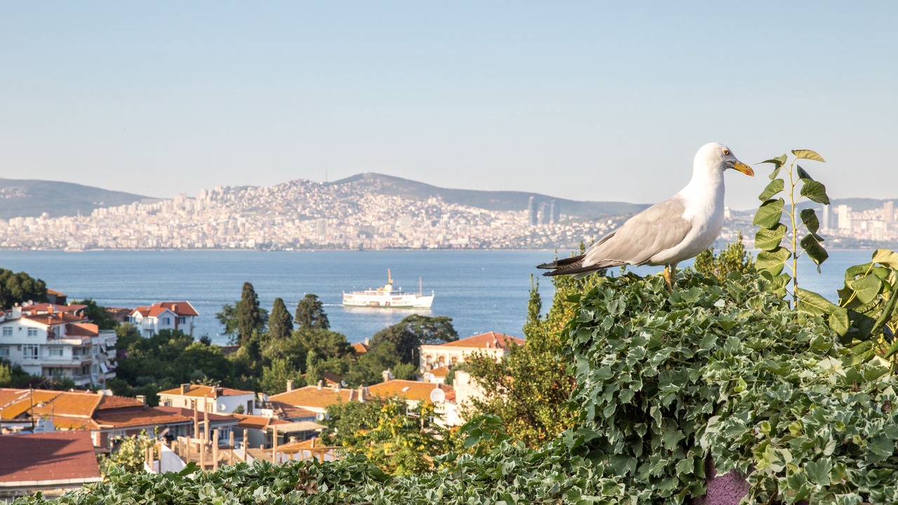 Photo of Outdoor in Adalar
