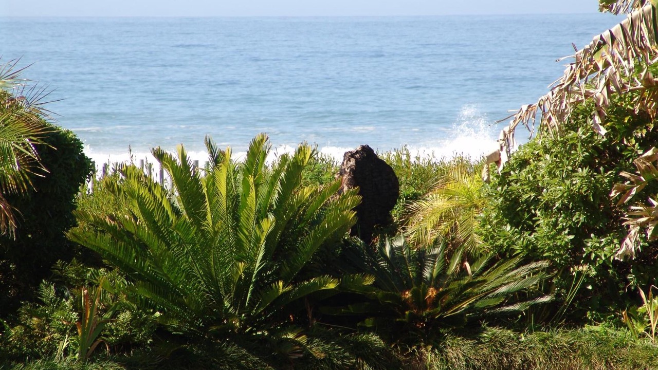 Photo of Others in Jeffreys Bay