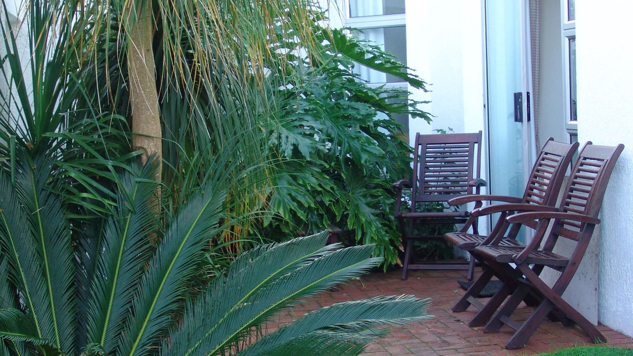 Photo of Outdoor in Jeffreys Bay