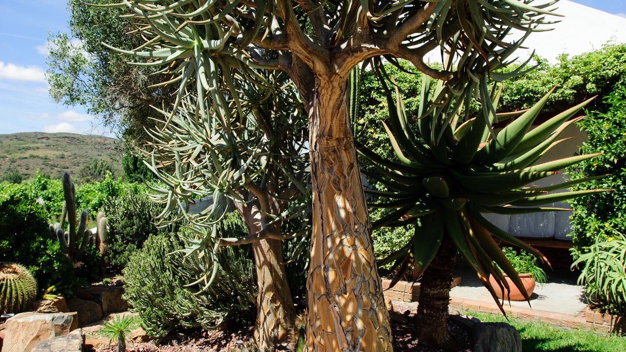 Photo of Outdoor in Bonnievale