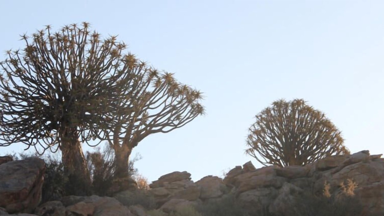 Photo of Outdoor in Springbok