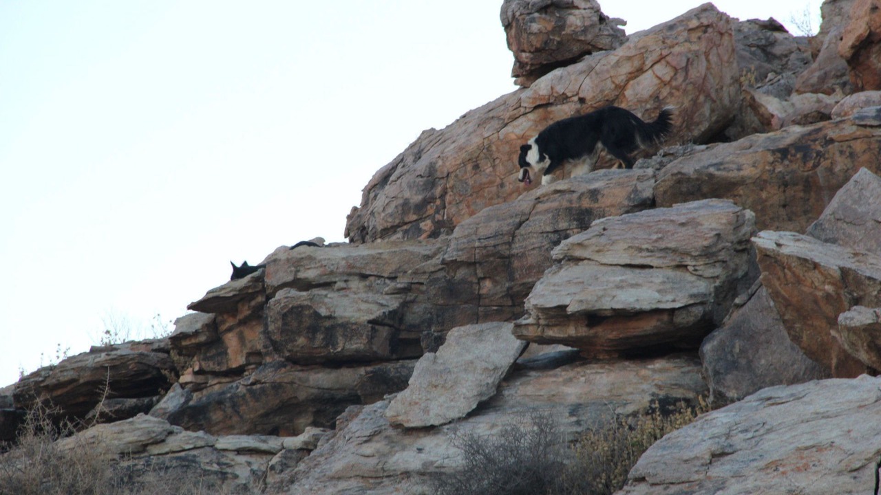 Photo of Outdoor in Springbok