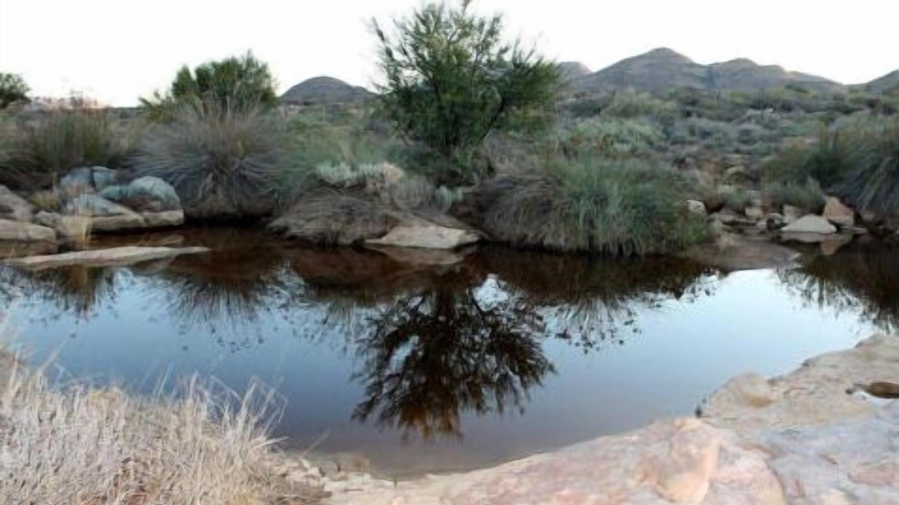 Photo of Outdoor in Springbok