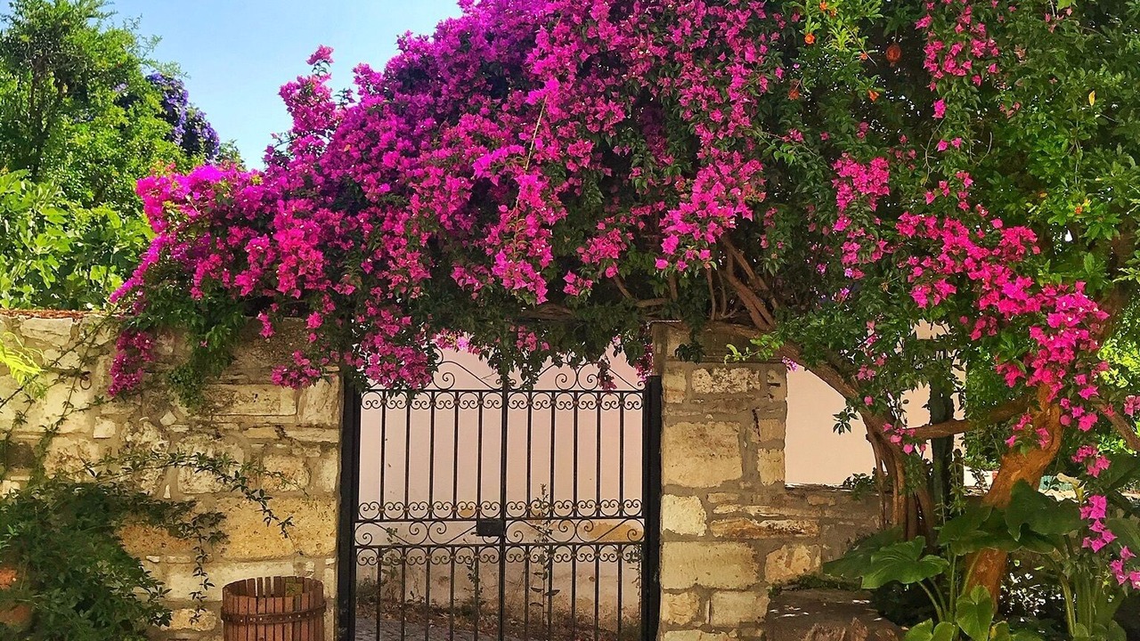 Photo of Outdoor in Karaburun