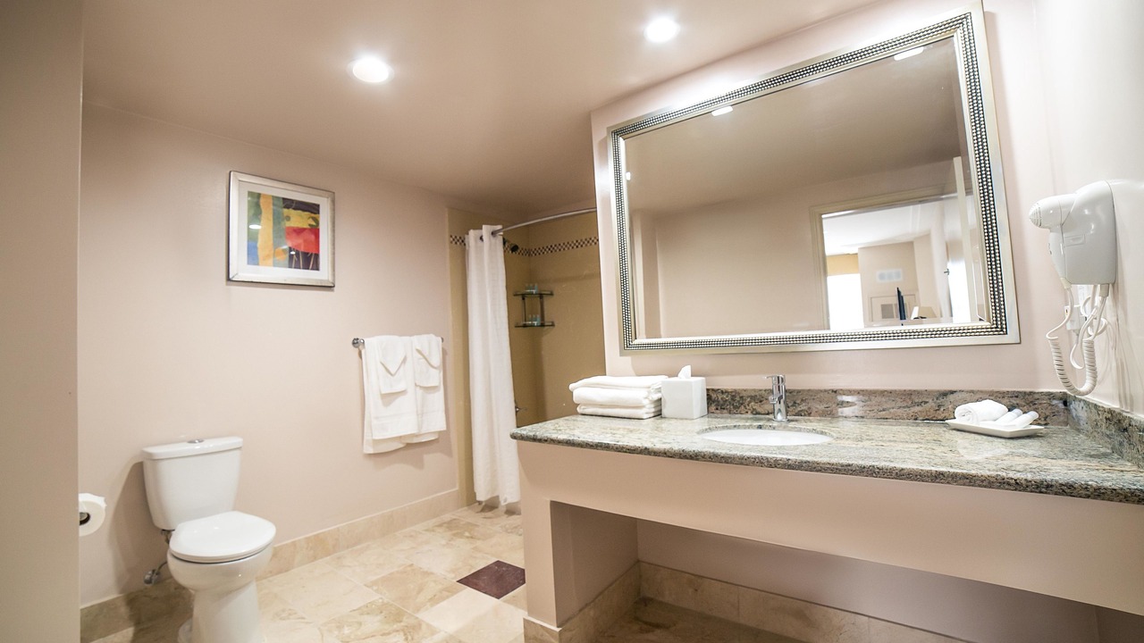 Photo of Bathroom in Downtown San Jose