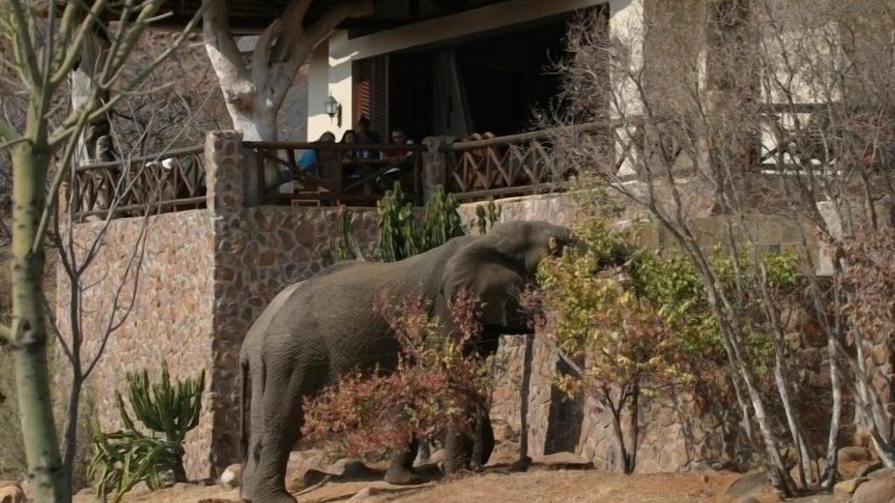 Photo of Others in Vaalwater