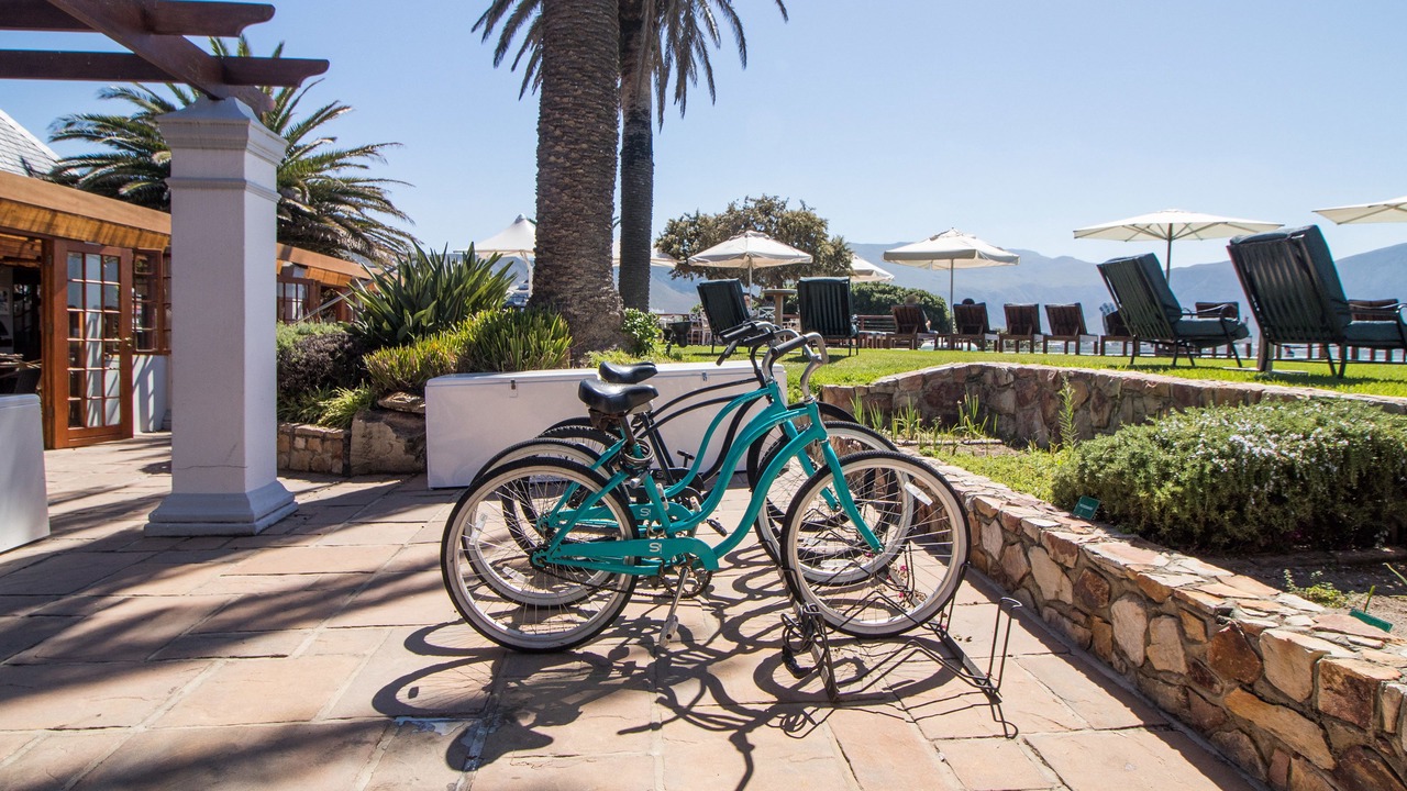 Photo of Outdoor in Hermanus City-Centre