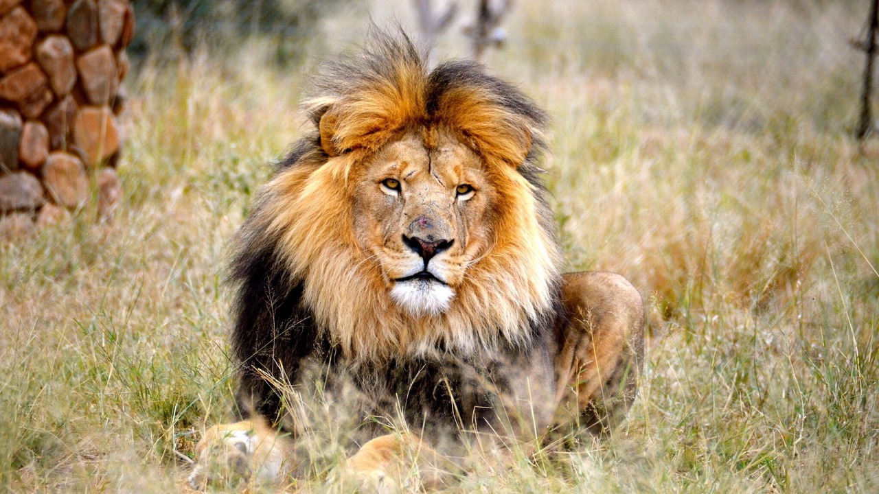 Photo of Others in Madibeng