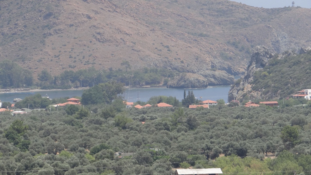 Photo of Others in Mesudiye