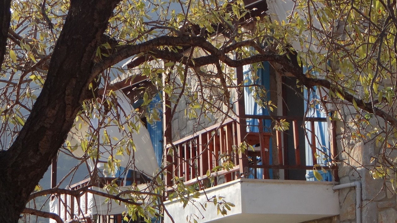 Photo of Outdoor in Mesudiye