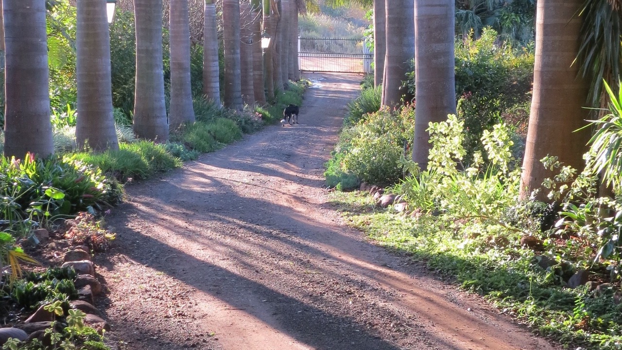 Photo of Outdoor in Makhado