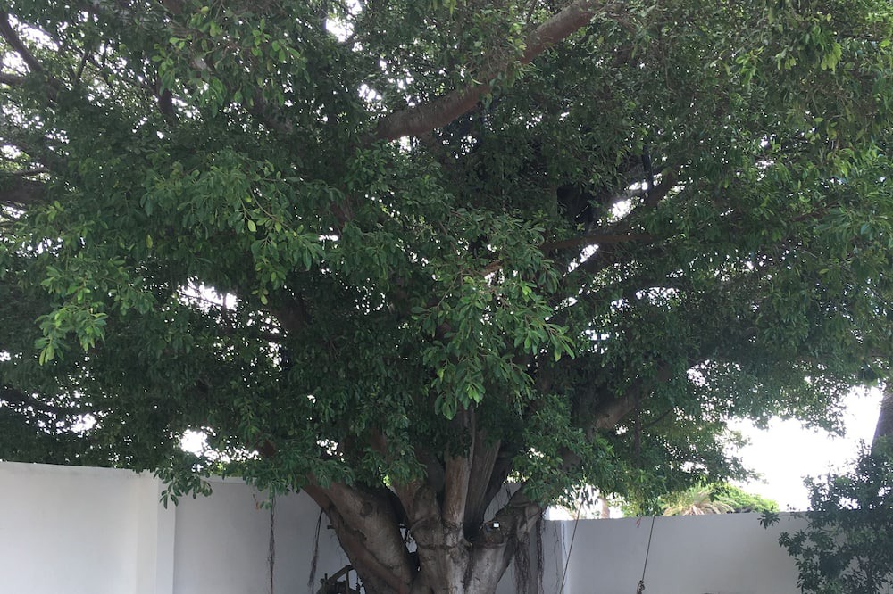 Photo of Outdoor in Saint Francis Bay