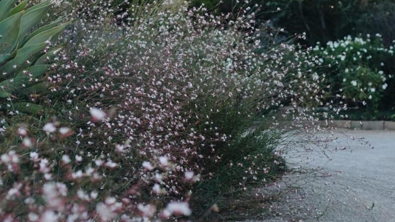 Photo of Outdoor in Breede Valley