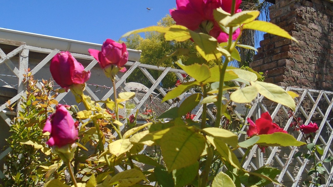 Photo of Outdoor in Cradock