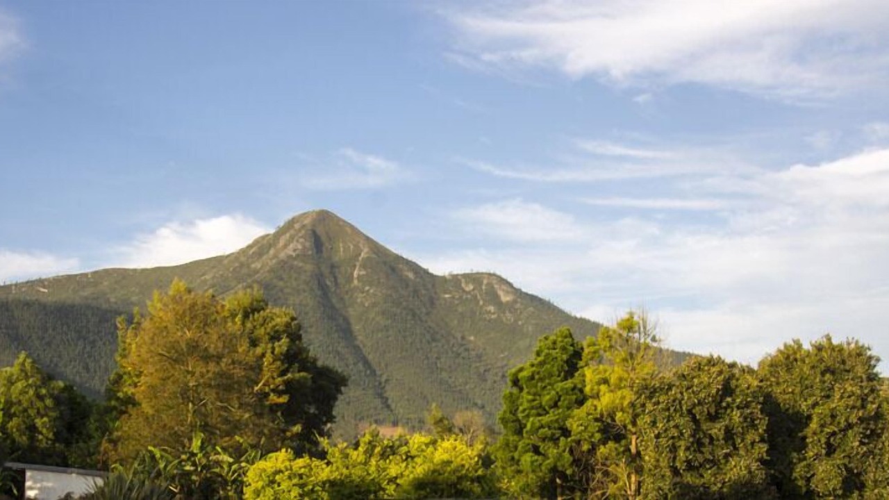 Photo of Others in Storms River