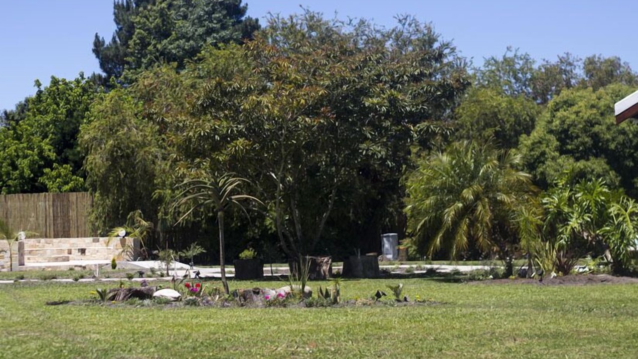 Photo of Outdoor in Storms River
