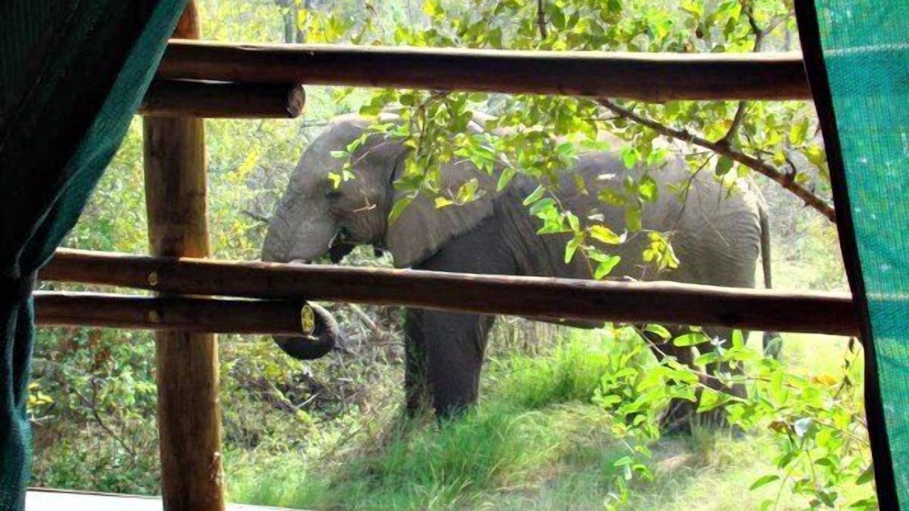 Photo of Outdoor in Phalaborwa