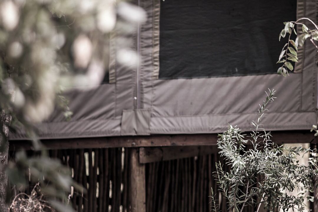 Photo of Outdoor in Phalaborwa