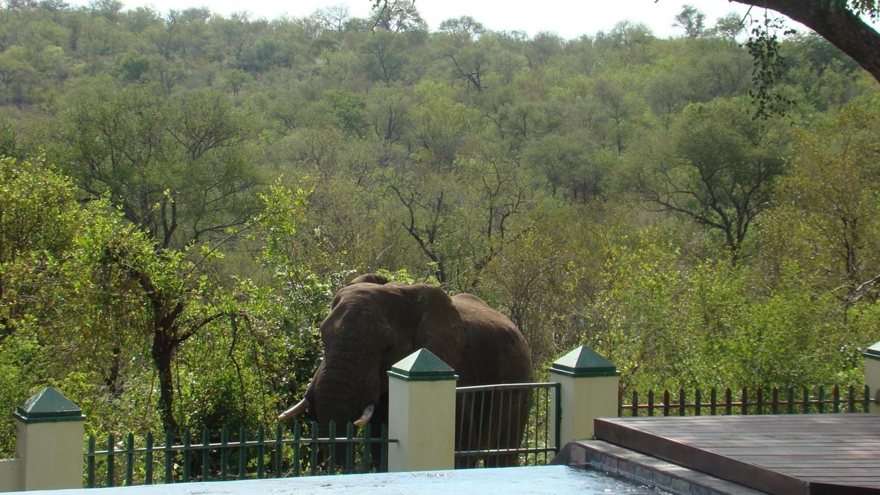 Photo of Outdoor in Phalaborwa