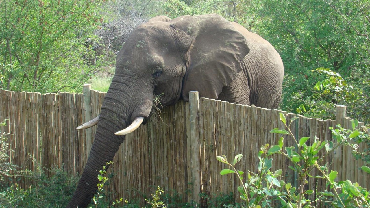 Photo of Outdoor in Phalaborwa