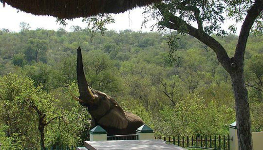 Photo of Outdoor in Phalaborwa
