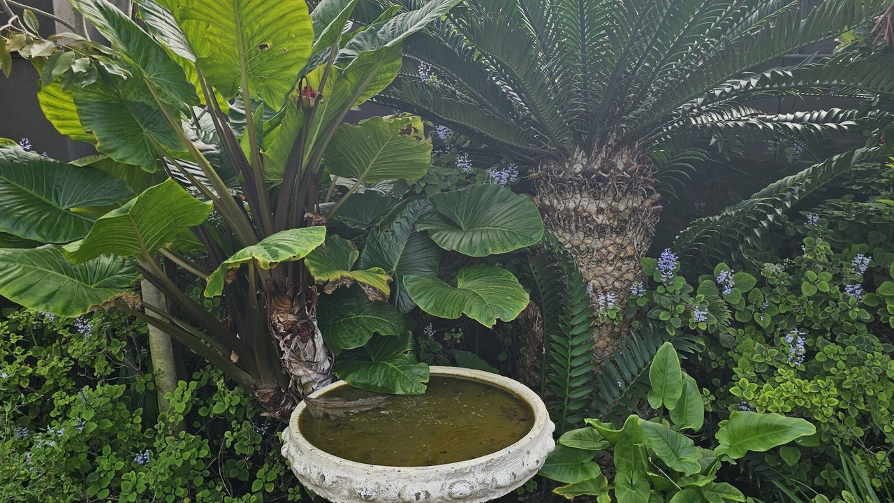 Photo of Outdoor in Die Boord