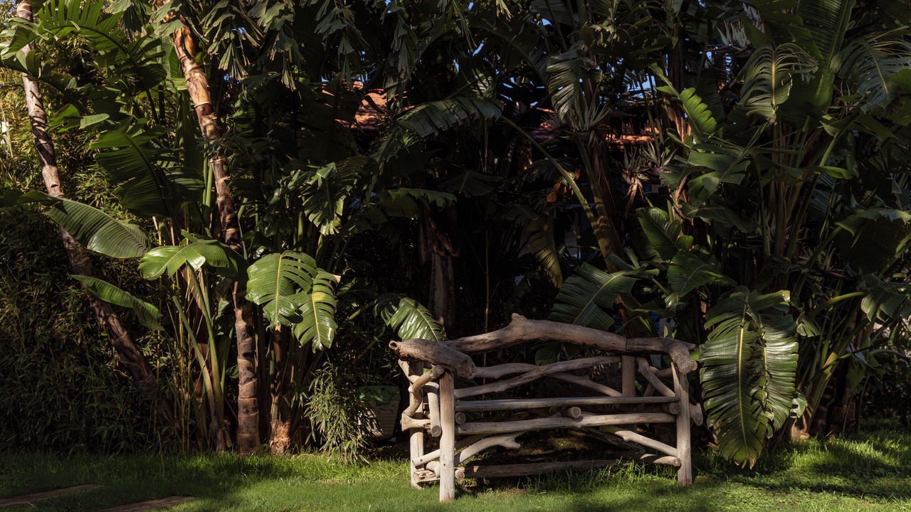Photo of Outdoor in Bozburun