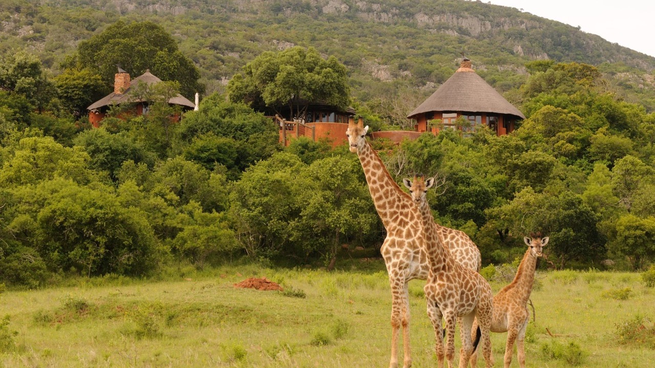 Photo of Others in Makhado