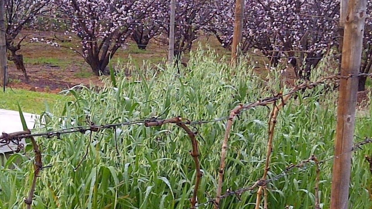 Photo of Outdoor in Montagu