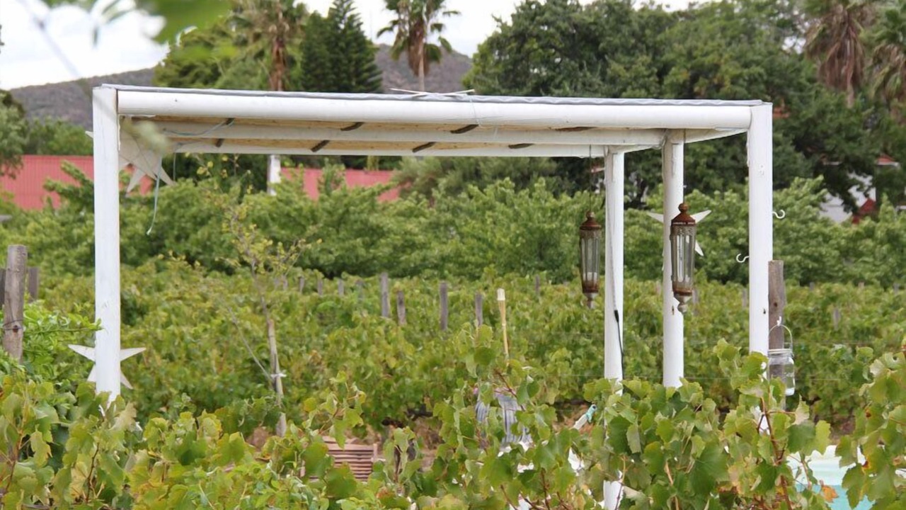 Photo of Outdoor in Montagu