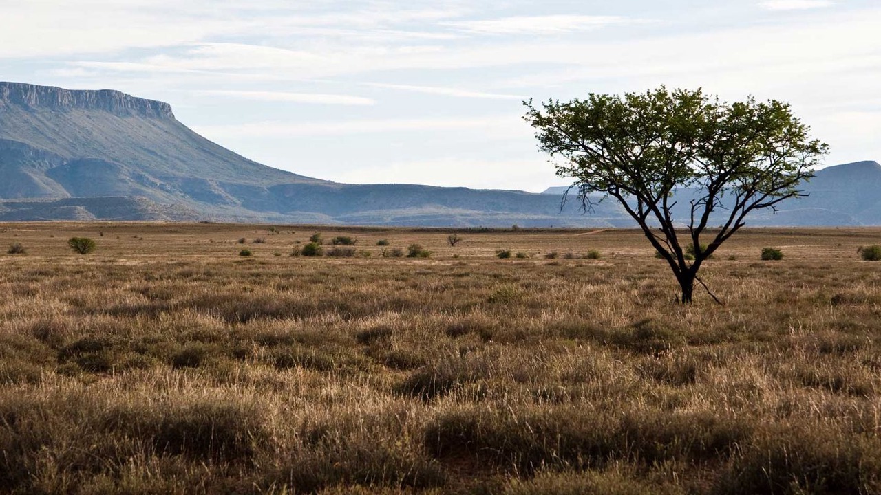 Photo of Outdoor in Beaufort West