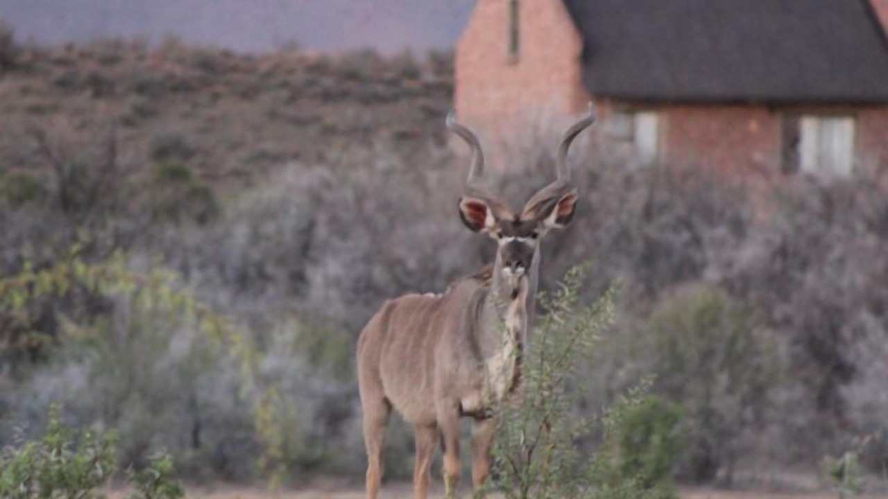 Photo of Outdoor in Beaufort West