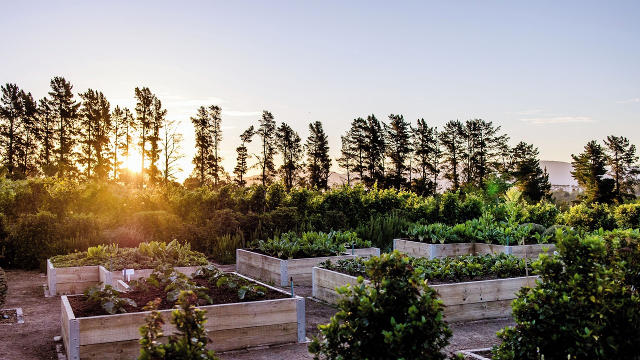 Photo of Outdoor in Paarl