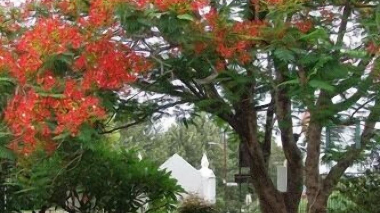 Photo of Outdoor in Kirkwood